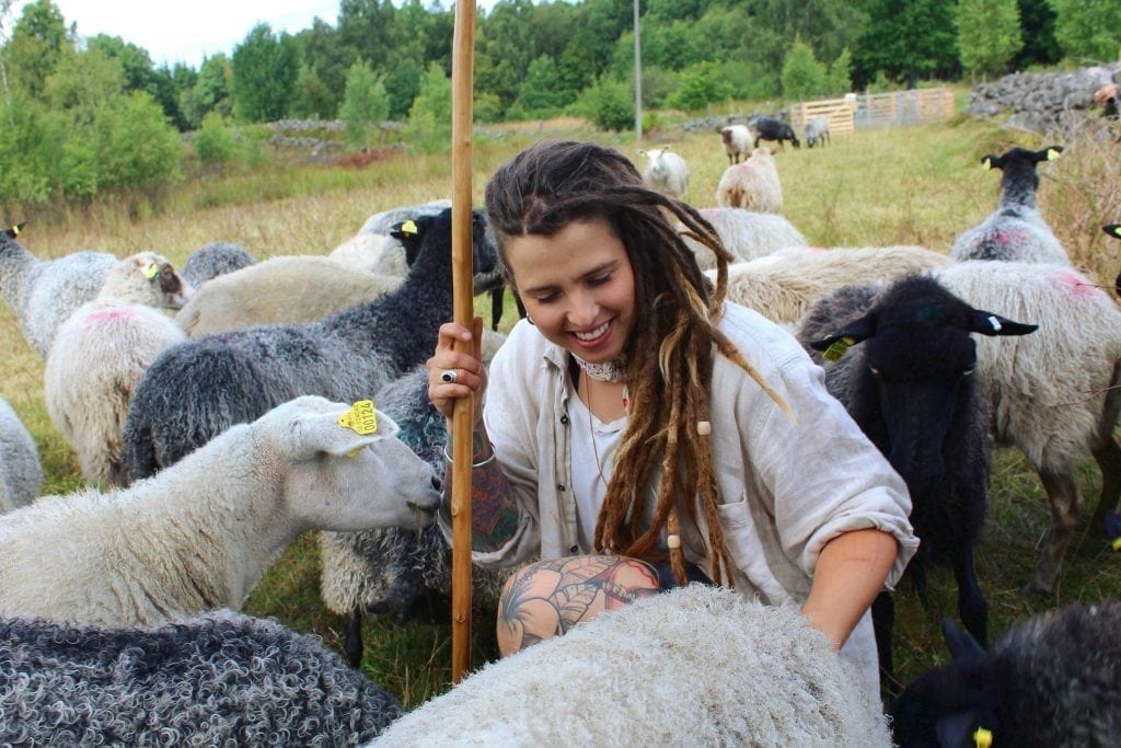Angelika med alla sina får och lamm