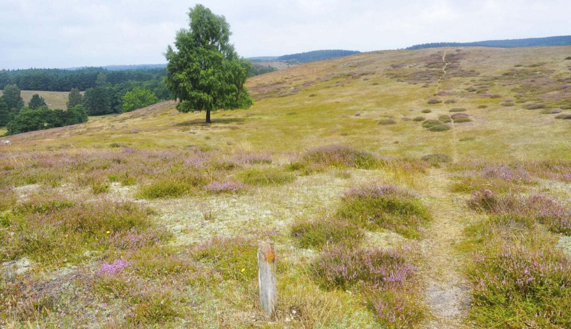 Vandreture i Österlen Ekeröd-Brösarp. Drakamöllan