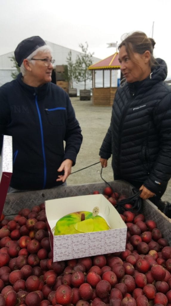 inför Äppelmarknaden 2019