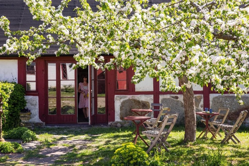 Mysigt skön trädgård på STF Brantevik Råkulle Vandrarhem