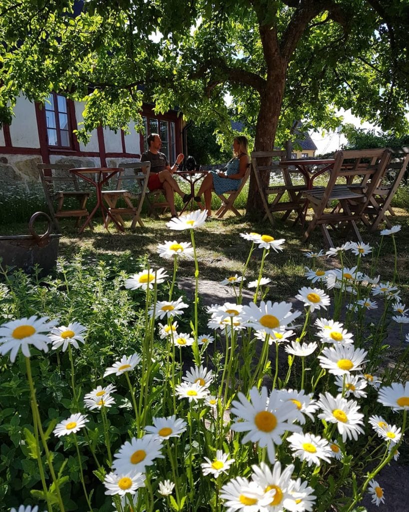 Härlig trädgård på STF Brantevik Råkulle Vandrarhem