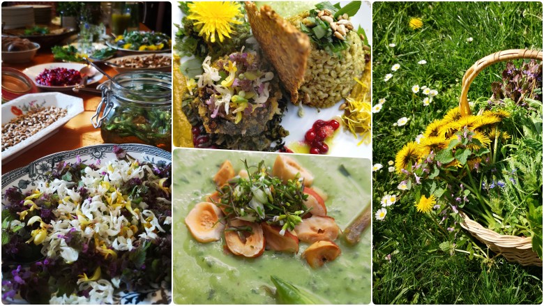 Matlagning – vilda ätbara växter med milla & johan @ ecotopia