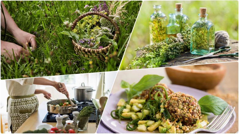 Matlagning – vilda ätbara växter med anita zieme @ ecotopia