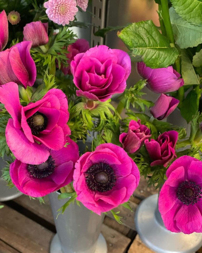 Simris Trädgård vackra blommor