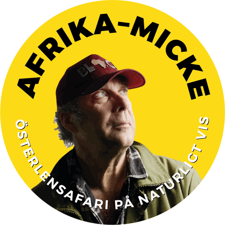 afrika-micke logo
